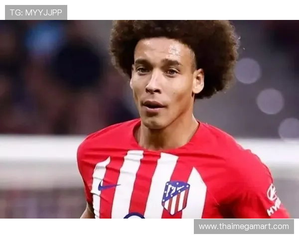 西甲维特塞尔新援