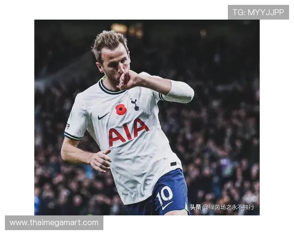 哈里·凯恩领导力评价